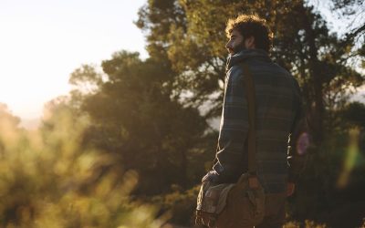 Walking, Movement, and the Secret to Brain-Body Harmony